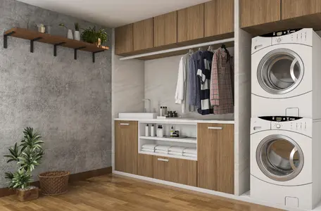 Cabinet Laundry room